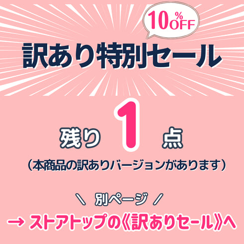 【ikkakeサニタリーセット】災害時の生理を乗り切る女性の防災セット